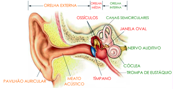 Como identificar que o aparelho auditivo está danificado? – Clínica Sonora  Web
