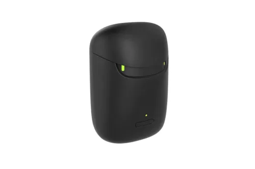 Slim-RIC Travel Charger