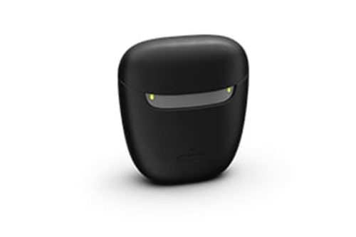 Travel Charger RIC